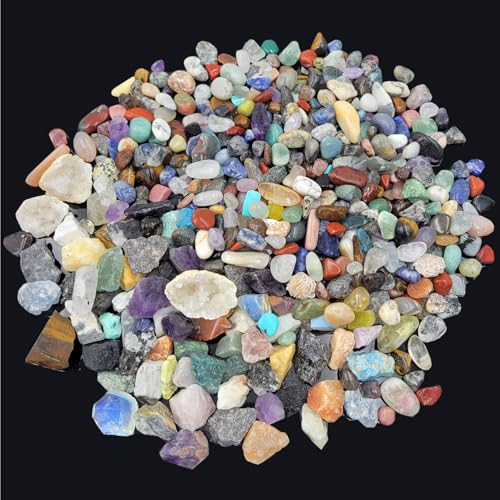 450 Pieces Rocks Collections for Kids...