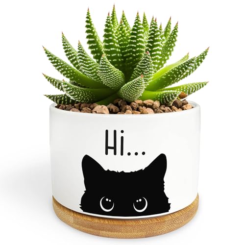 Black Cat Ceramic Succulent Planter