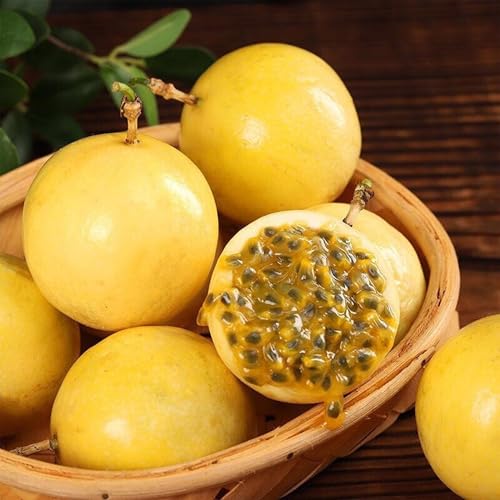 Mixrug Mix Organic Passion Fruit Seeds for Planting Outdoor, 15pcs Perennial Organic Passion Fruit Seed Non-GMO Heirloom Sweet Edible Fruit, Sweet Juicy Fruits Plants in Your Home Garden