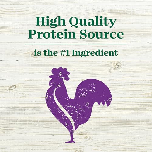 Nutro Max Puppy Recipe Natural Dry Dog Food, Farm-Raised Chicken, 12 lb - image 3