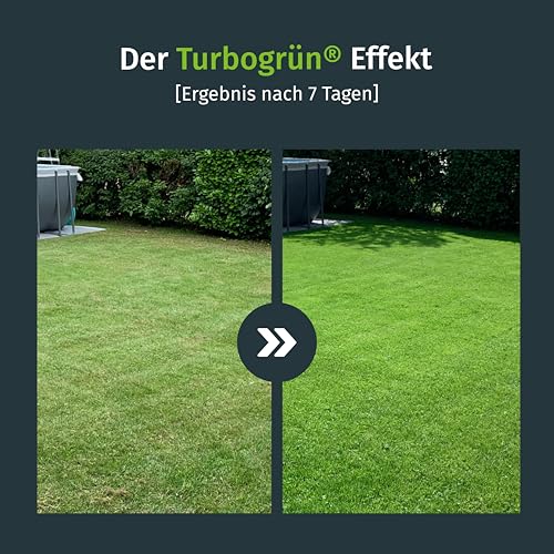 Foto von Turbogrün Rasendünger Frühjahr 20kg, gesunder Rasen verdrängt Moos, Ideal für Frühjahr und Sommer, geeignet für Streuwagen, staubarmes Granulat, Rasen dünger
