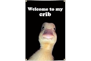 GeRRiT Welcome to My Crib Flag (2'x3') - Perfect Drake Decoration for Any Room