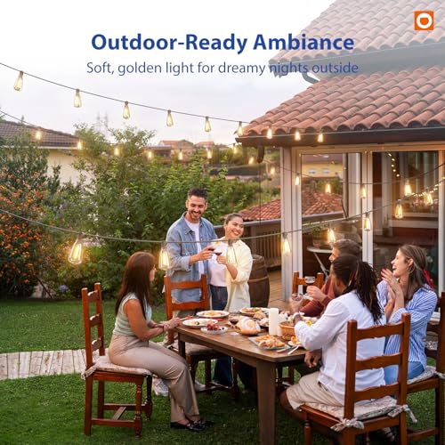 addlon 100ft Outdoor Waterproof LED String Lights - image 8