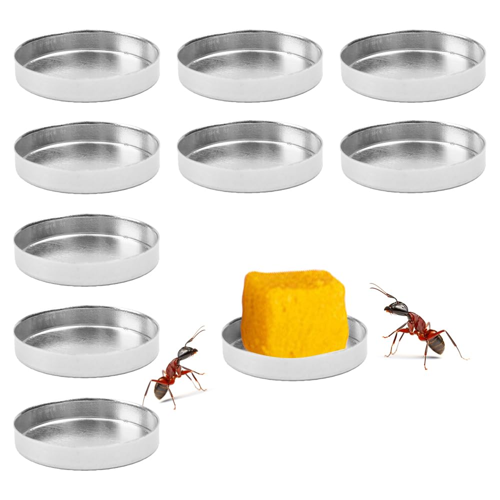 10 Pcs Ant Feeder Micro Food and Water Bowl Ant Farm Small Water Dish for Millipede Tiny Bugs Insects