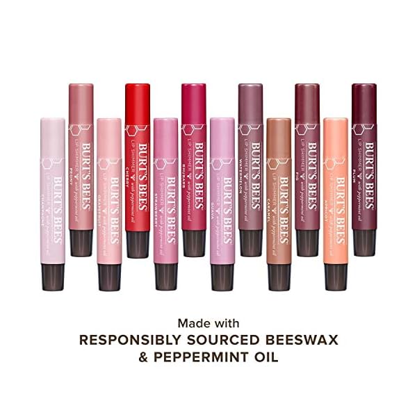 Burts-Bees-100-Natural-Moisturizing-Lip-Shimmer-Champagne-1-Tube Burt's Bees Lip Balm, Moisturizing Lip Shimmer for Women, for All Day Hydration, with Vitamin E & Coconut Oil, 100% Natural, Champagne, 0.09 Ounce