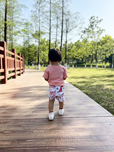 BOUTIKOME Toddler Baby Girls Boys Summer Shorts Set Dinosaur Short Sleeve T-Shirt Pants 2pcs Casual Clothes Outfits3