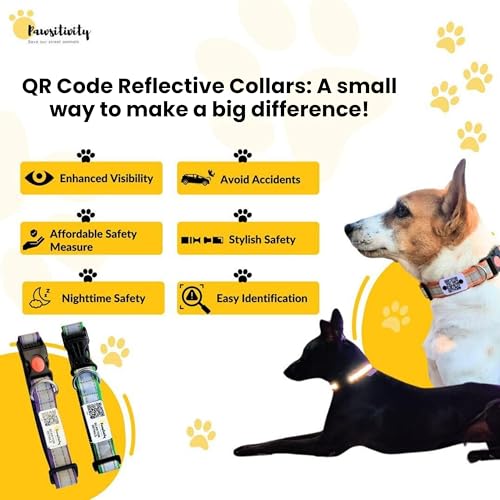 Image of India's First Smart Reflective Collar by Pawsitivity for Strays, QR Code Enabled, Anti Theft, Durable and adujstable | Pack 5 pcs | Color: Green
