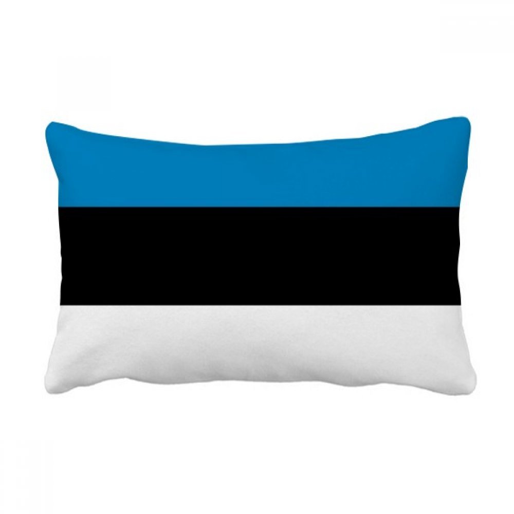 Drapeau Estonie coussin de canapé pour une décoration de salon cosy