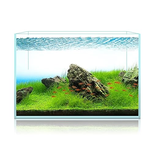 Image of LYPHARD AQUARIUMS 15 Gallon Rimless Aquarium, Ultra Clear Glass Low Iron Rectangular Fish Tank L19.6xW13xH13.8 Inches Thickness 6mm with EVA Foam Mat Included