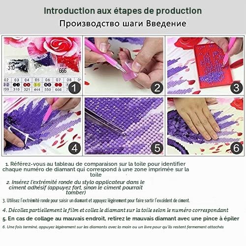 Diy 5D Diamond Painting Cygne Kits De Broderie Diamant Peinture Art