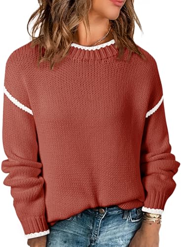 SHEWIN Sweaters for Women Trendy Crewneck Long Sleeve Tops Casual