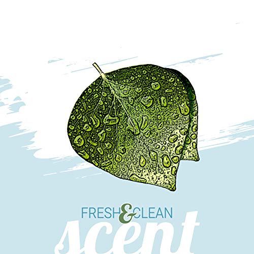 Green Groom Odor Eliminator Dog Shampoo, 1 Gallon - Crafted With Odortrol, All Natural Ingredients, Antioxidant Rich, Eliminates Smelly Pet Odors, Powerful Deodorizing Formula, Professional Grade #TOP6