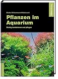 Daehne Verlag