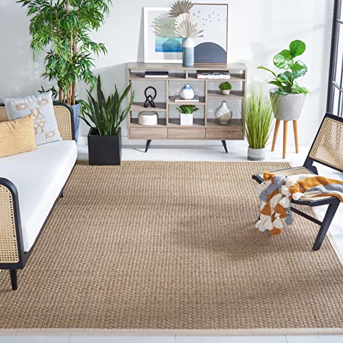 SAFAVIEH Area Rug 10x14 - Natural Fiber Collection...