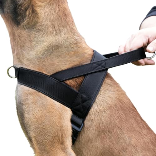 Arnés Antitirones para Perro | Chaleco Transpirable Suave para Paseo - con Hebilla de Seguridad y Frontal Ajustable - para Actividades Diarias, Entrenamiento, Viaje, Parque, Razas Medianas