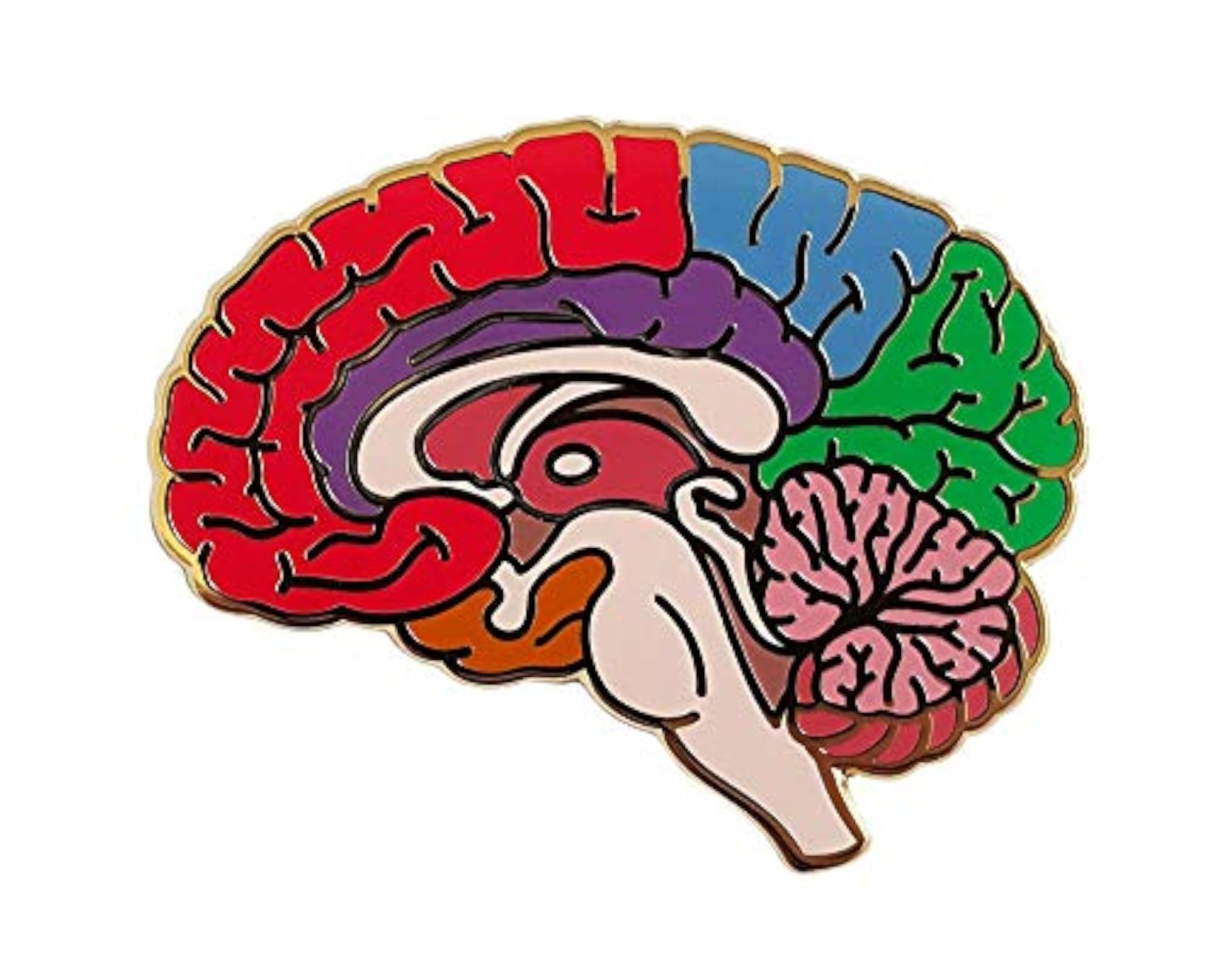 Men's Anatomical Brain Enamel Lapel Pin, Unique Gift