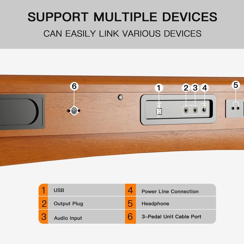 Rear view of the HEXANT digital piano's connectivity ports, including USB, audio input/output, and pedal unit connection.