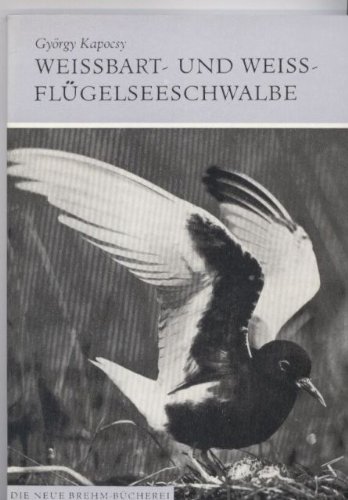 Weißflügel- und Weißbartseeschwalbe (Chlidonias leucopterus und Chl.