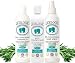 LiceLogic Lice Prevention Kit - 3 Piece Lice Kit Includes Repel Shampoo, Conditioner and Lice Repel Hair Spray, Non-Toxic and Natural Ingredients