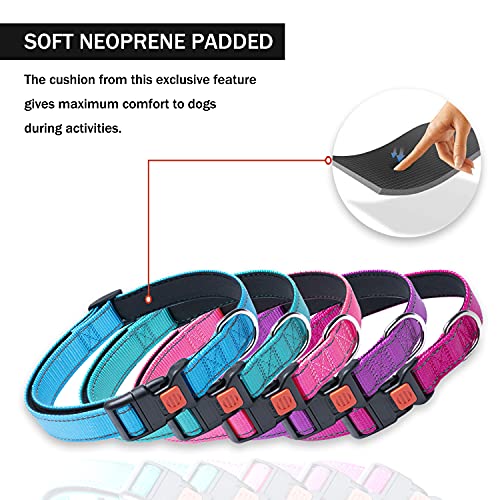 Reflective Dog Collar With Buckle Adjustable Safety Nylon Collars For Small Medium Large Dogs, Black S #TOP1