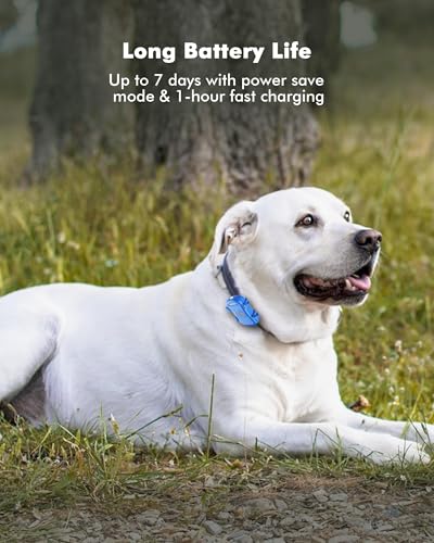 4G GPS-Tracker für Haustiere/Hunde/Katzen,Hund GPS Tracker,GPS für Katzen