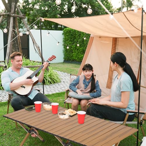 Table de camping pliante 4-6 personnes portable et robuste supportant 100 kg