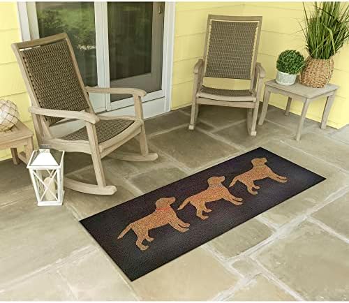 Liora Manne Frontporch Indoor Outdoor Rug - Novelty Design, Hand Hooked, Weather Resistant, UV Stabilized, Foyers, Porches, Patios & Decks, Arrf Ye Mateys, 2' x 5'