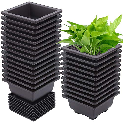 ZEONHEI 15 PCS 4.7 Inch Bonsai Training Pots, Square Plastic Plants Growing Pots, Flower Succulent...
