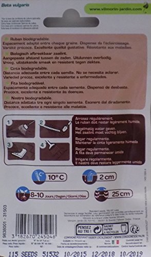 Vilmorin 2 Cintas de 40 Semillas Remolacha DE Mesa Grenade HF1 ...