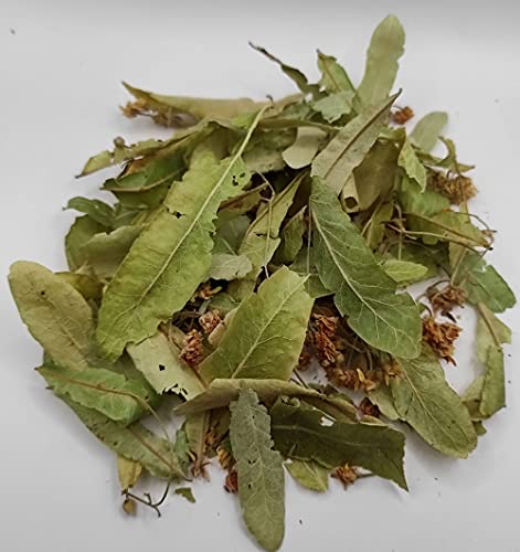 Tilo Seco Salvaje Hojas y Flores 85g a 1.95KG Cosecha Mayo 2022 Tilia Cordata (1950 gramos) - Imagen 4