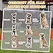 PawHut Agility Set Hunde, 6-teiliges Agility Ausrüstung mit 12 Kegel 6 höhenverstellbar Hürden Tragetasche Trainingszubehör, Trainingsset für Hundetraining