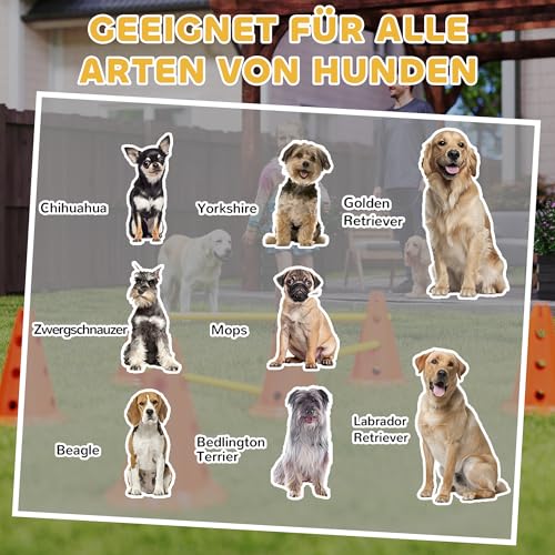PawHut Agility Set Hunde, 6-teiliges Agility Ausrüstung mit 12 Kegel 6 höhenverstellbar Hürden Tragetasche Trainingszubehör, Trainingsset für Hundetraining