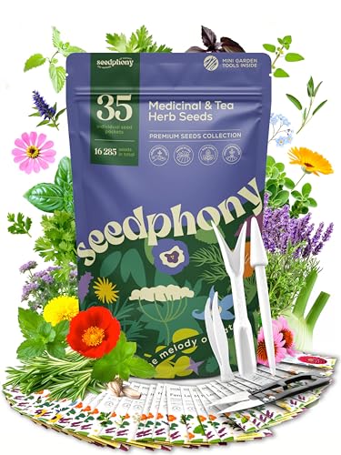 Seedphony 35 Medicinal & Tea Herb Seeds Variety Pack - 16,285+ Non-GMO Heirloom Herbs Seeds for Planting Indoor & Outdoor: Lavender, Rosemary, Echinacea, Mint, Catnip, Basil - Gardening Seed Packets