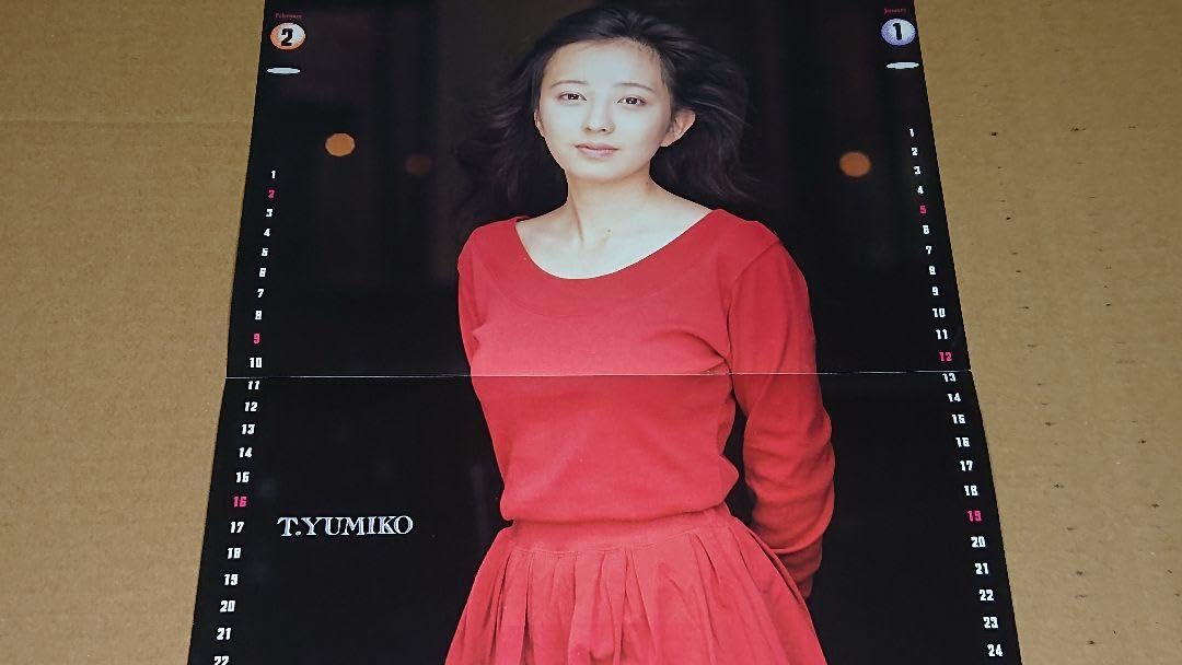 Amazon.co.jp: 高橋由美子 1993年～1995年 大量 切り抜き ファイル 1冊