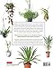House Plants for Every Space: A Concise Guide to Selecting, Designing and Maintaining Plants in Any Indoor Space