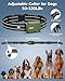 Jugbow Dog Shock Collar 2 Dogs (10-120Lbs) - 4200FT Dog Training Collar with Remote IPX7 Waterproof Electric Collar with 4 Training Modes, Security Lock, Rechargeable e-Collar for All Breeds, Sizes