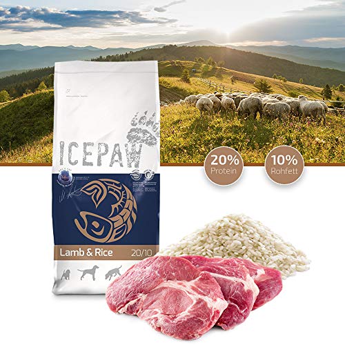 ICEPAW I High Premium I Trockenfutter Lamm und Reis 14 kg I Für futtersensible Hunde…