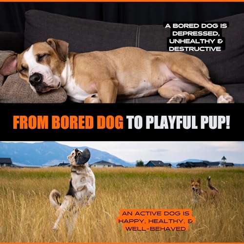 Monster K9 Dog Toys Monster K9 Indestructible Aero Disc - Lifetime Replacement - Medium & Large Breeds - Ultra Durable For Aggressive Chewers - Chew, Tug, & Fetch Dog Toy thumb #7