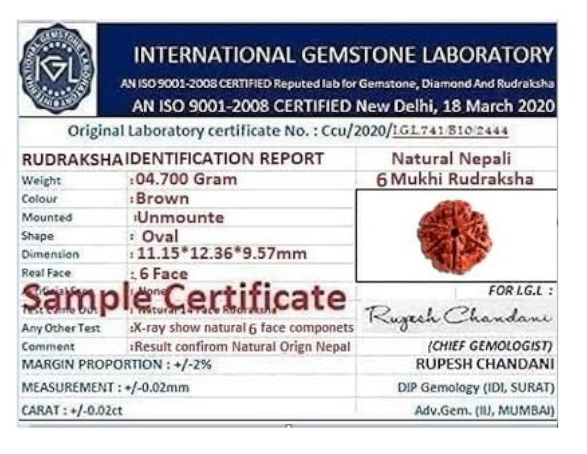 Natural Six Face Rudraksha Round Shaped Beads, Lab Certified
