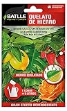 Abonos - Fertilizante Quelato de Hierro Sobre para 5L - Batlle