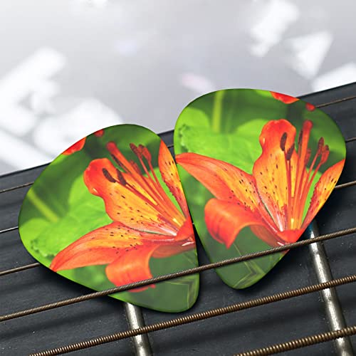 Pack de 12 médiators Tiger Lily pour guitare électrique Guitare acoustique Diverses guitares - Les Beatles, Paul McCartney, John Lennon, RIngo Starr, George Harrison Pack de 12 médiators Tiger Lily pour guitare électrique Guitare acoustique Diverses guitares – Image 7