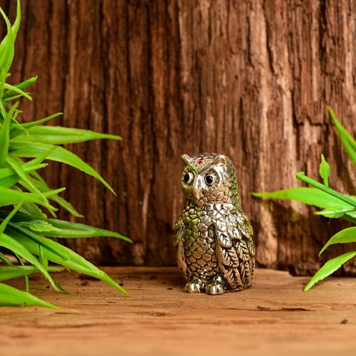 Image of DHRUVS COLLECTION 999 Silver Vastu Owl | Religious & Corporate Decorative Gifts | Handmade Owl Sculpture, Feng Shui Bird, Evil Eye Protection, Paper Weight, Home & Office Table Showpiece