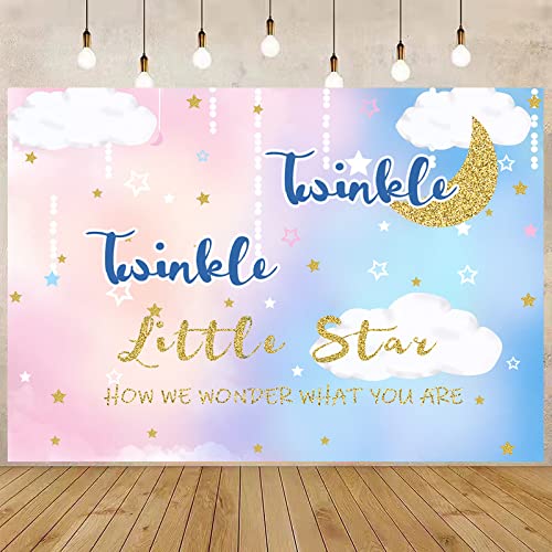 Twinkle Twinkle Little Star Gender Reveal Backdrop Blue and Pink Baby Shower Photography Background Star Moon Clouds