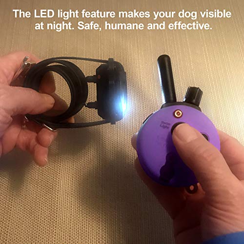 Educator E-Collar Humane Dog Training Collar With Remote, Features 100 Levels Of Safe Stimulation, Tapping Sensation, Night Light, Waterproof, Rechargeable, 1/3 Mile 1 Small Dog, Purple #TOP4