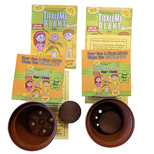 Tickleme Plant Birthday Party Favors (Pack Of 2) (Leaves Fold When You Tickle It) Minutes Later The Leaves Re-Open. Great Science Fun, Green And Educational. Grow Indoors. It Even Flowers. #TOP1