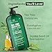 Botanic Hearth Eucalyptus & Tea Tree Body Wash – Refreshing & Invigorating Shower Gel for Men & Women, Helps Soothe Skin, Sulfate & Paraben Free – 16 fl oz