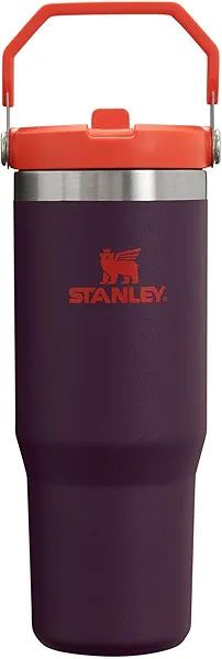 Stanley IceFlow Flip Straw Tumbler with Handle 30 oz | Twist On Lid and Flip Up Straw | Leak Resistant Water Bottle | Insulated Stainless Steel |BPA-Free | Plum