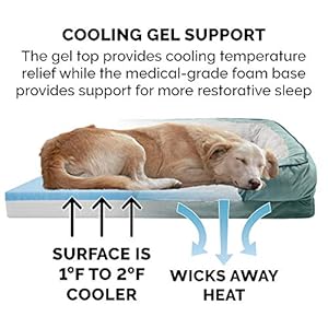 Furhaven Cooling Gel Dog Bed for Large Dogs w/ Removable Bolsters & Washable Cover, For Dogs Up to 95 lbs - Plush & Velvet Waves Perfect Comfort Sofa - Celadon Green, Jumbo/XL, 40.0" x 32.0"x 9.5" Furhaven Cooling Gel Dog Bed for Large Dogs w Removable Bolsters Washable Cover For Dogs Up to 95 lbs Plush Velvet Waves Perfect Comfort Sofa Celadon Green JumboXL 400 x 320x 95
