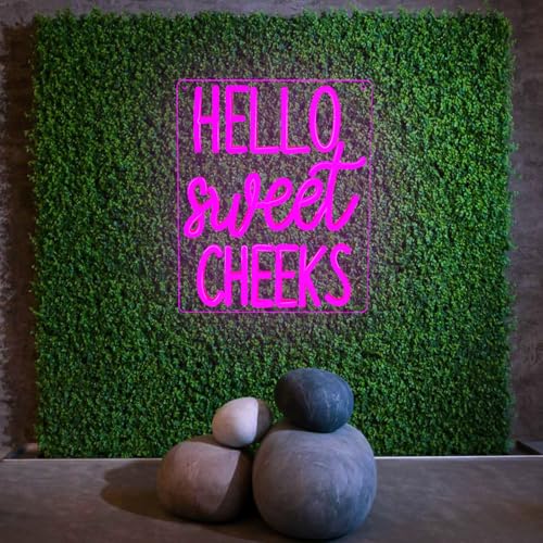Image of Hello Sweet Cheeks Neon Sign Funny Hello Sweet Cheeks Bathroom Decor Dimmable Neon Signs for Wall Decor Pink LED Bathroom Signs USB Neon Light Up Sign Wall Art Cute Bathroom Shelf Decor for Women
