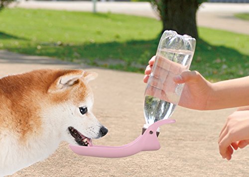 犬の散歩に持ってく水はリッチェルのハンディーシャワー1択 わんこブログ